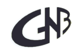Gruppo Nazionale di Bioingegneria